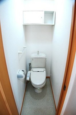 Toilet. Toilet is with a bidet. 