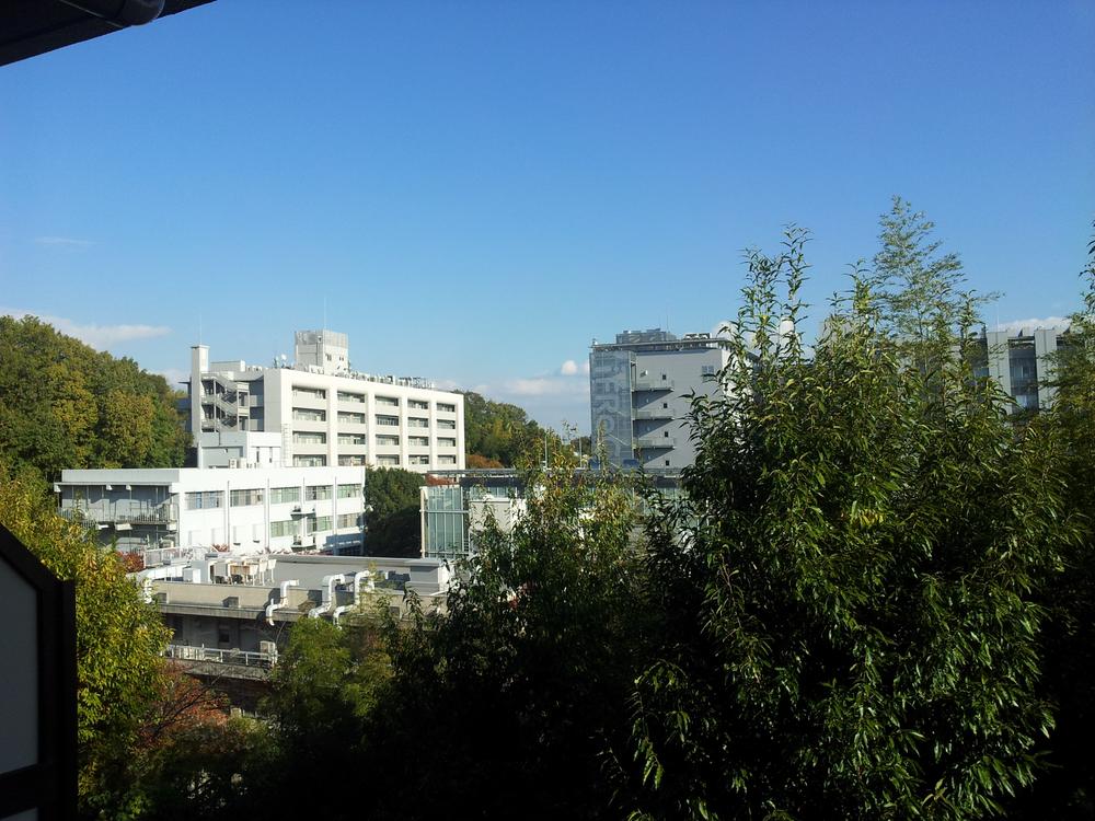 View photos from the dwelling unit. It is green in many cases ~