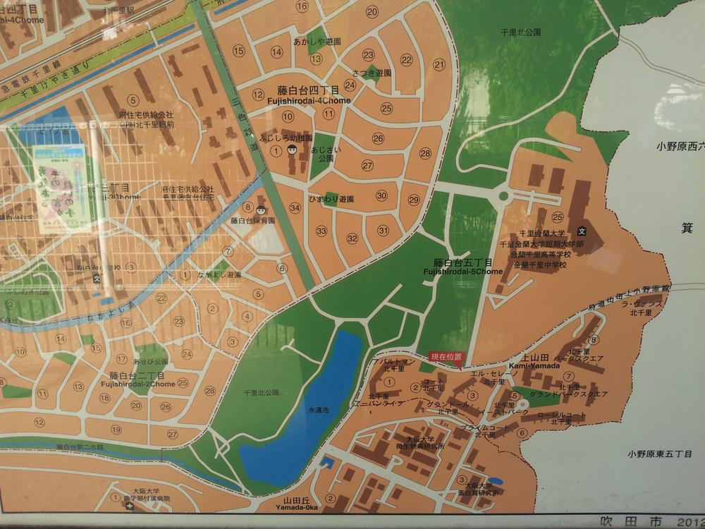 Other. We have put around map