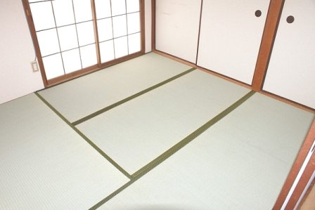 Other room space. Japanese style room