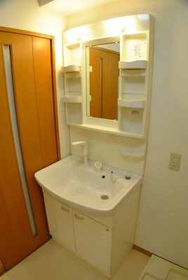 Washroom. Shampoo dresser