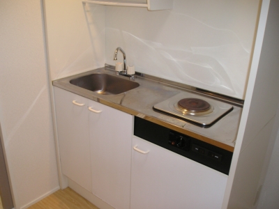 Kitchen. All-electric apartment! We recommend the cassette stove installation! 