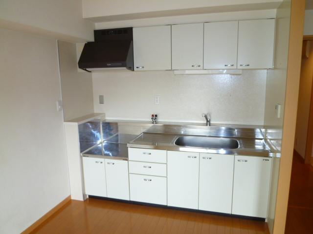 Kitchen. Spacious sink