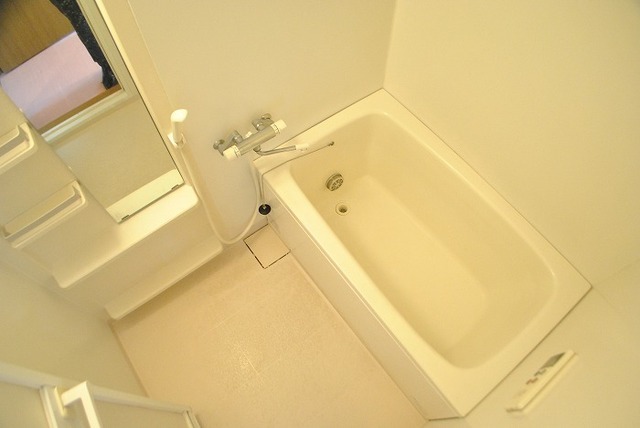 Bath. Spacious bathtub