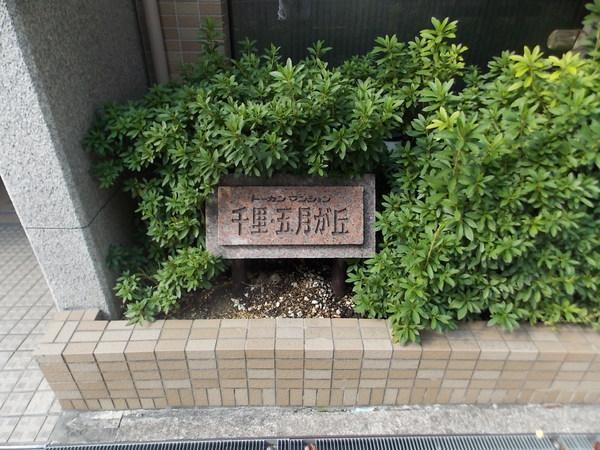 Other local. For the renovation already, Immediate Available!