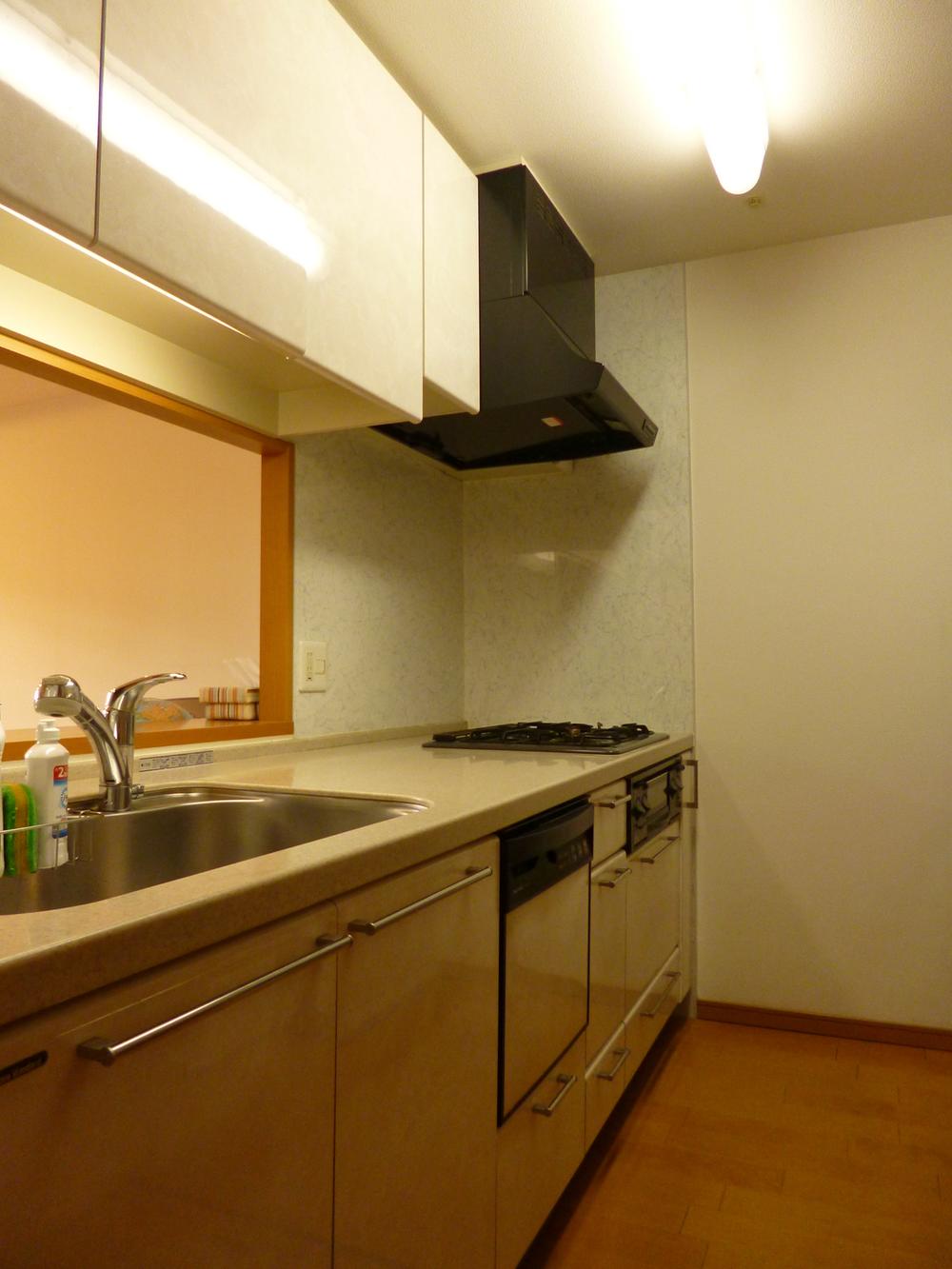 Kitchen. Indoor (12 May 2013) Shooting