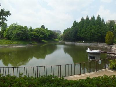 Other. Adjacent of Satake park