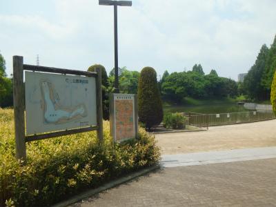 Other. Adjacent of Satake park