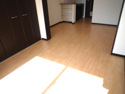 Living and room. This spacious bright room! It is wider in one room, separated!