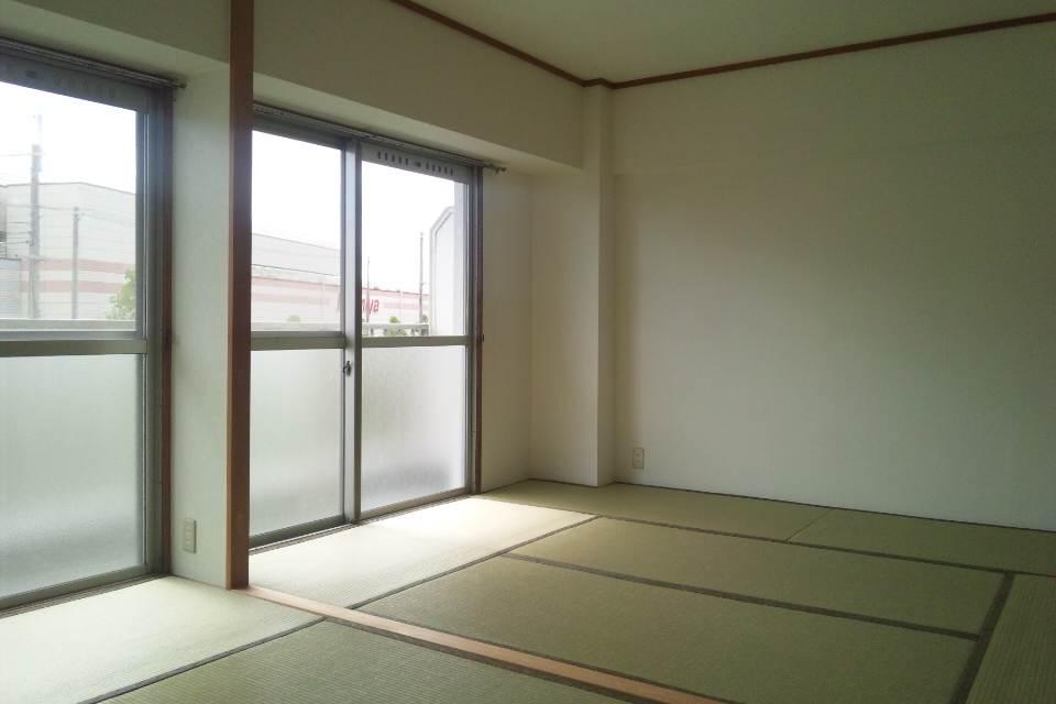 Other introspection. Japanese style room