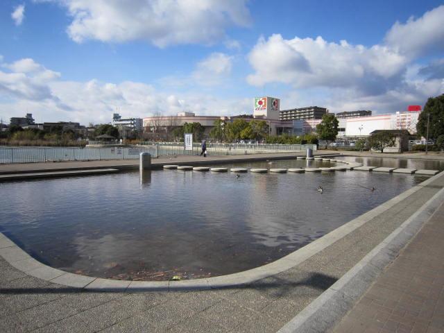 Other local. Neighborhood market Pond Park