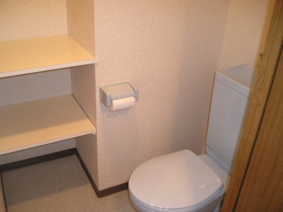 Toilet. Restroom is also spacious! Separate type! 