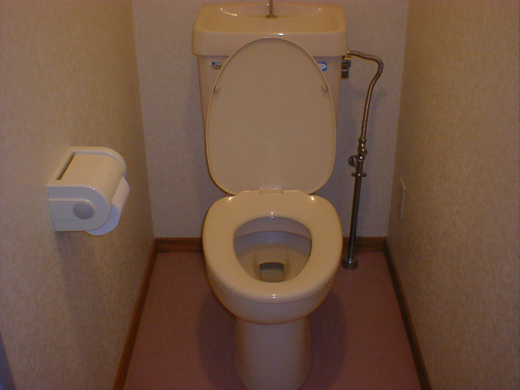 Toilet. Washlet installation of, Is possible!