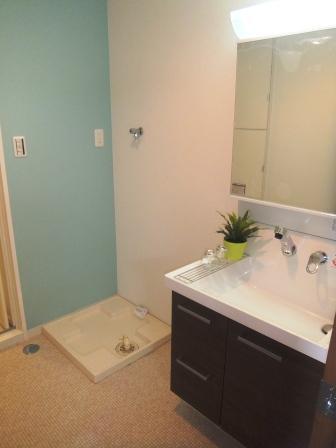 Wash basin, toilet. Indoor (July 2013) Shooting