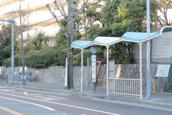 Other. "Inoko valley" bus stop