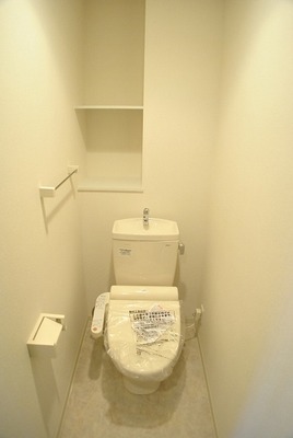 Toilet. Something useful shelf toilet