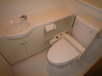 Toilet. Storage also there is a bidet equipped.