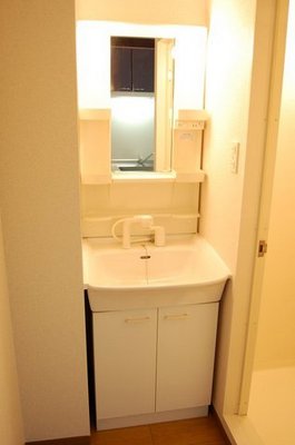 Washroom. Shampoo dresser. I'm glad independent basin type