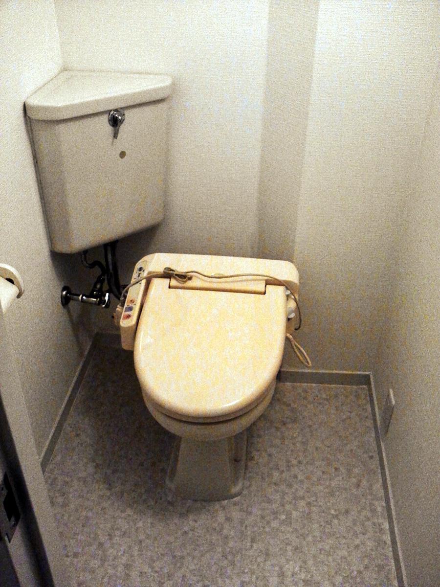 Toilet. Indoor (2013 November 16, night) Shooting