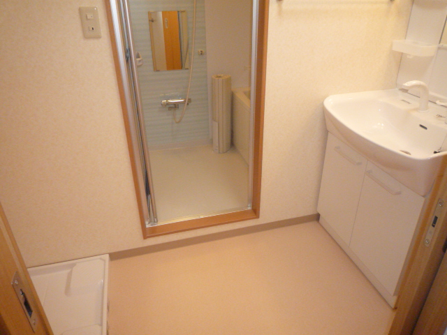 Washroom. Spacious is also dressing room! It is dressed also leads also good! 