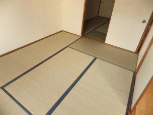 Other. Japanese style room