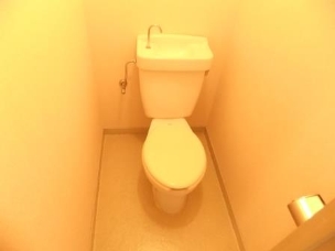 Other. Toilet