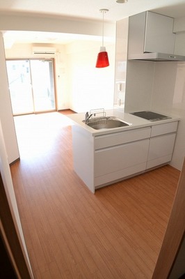 Living and room. Spacious 1LDK. Day pat. 