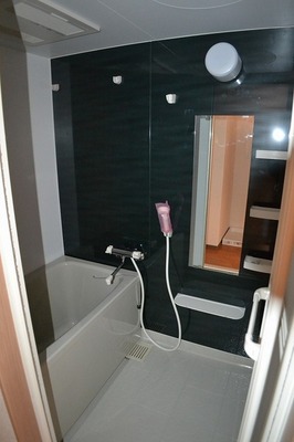 Bath. Clean, great spacious bathroom with bathroom dryer