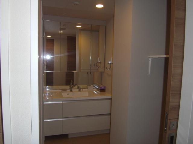 Wash basin, toilet. Storage rich basin dressing room