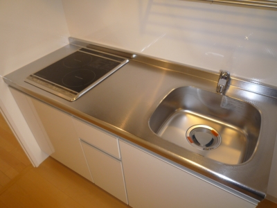 Kitchen. Sink is also a spacious wide kitchen! 