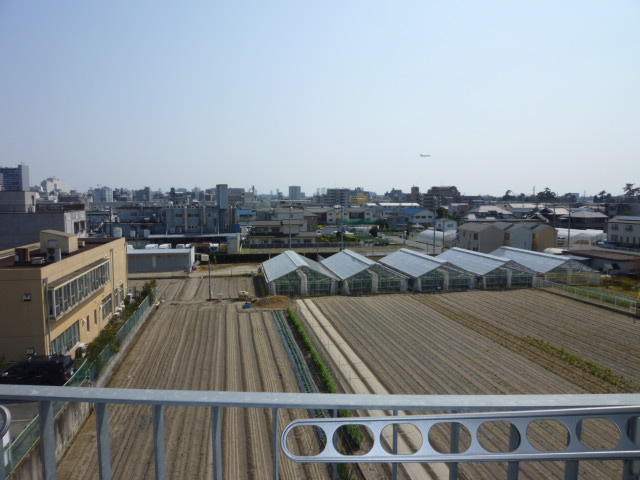 Balcony. View