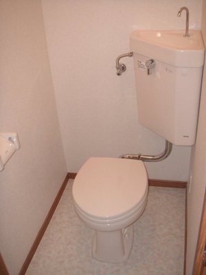 Toilet. Toilet