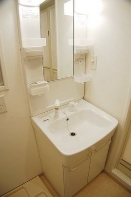 Washroom. It comes with shampoo dresser. 