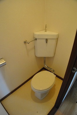 Toilet. Toilet