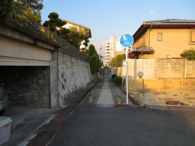 Local photos, including front road. Promenade