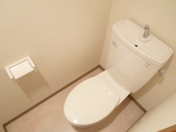 Toilet. Toilet