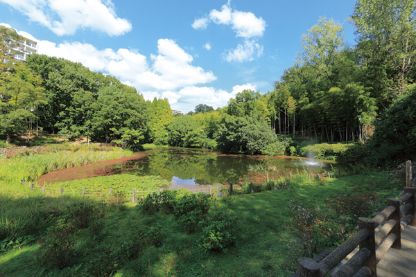 Surrounding environment. Chisato Higashimachi park (walk 23 minutes ・ About 1800m)
