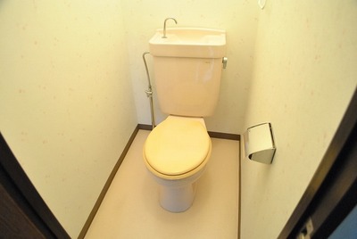 Toilet. Toilet