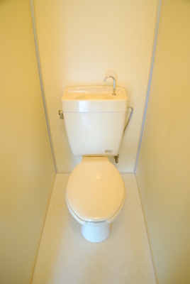 Toilet. Cleaning Easy separate type