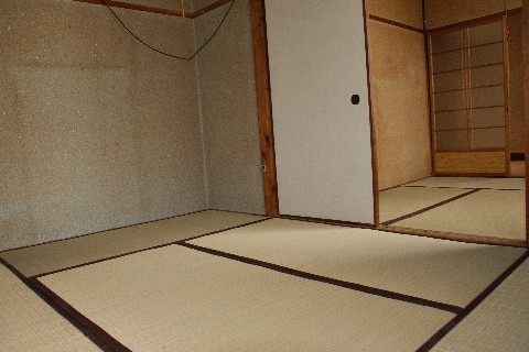 Living and room. Japanese-style room part