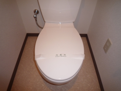 Toilet. Washlet is possible installation! 