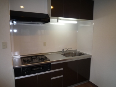 Kitchen. Large 3-neck is a system Kitchen! Sink also spacious! ! 