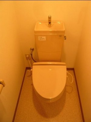 Toilet. Toilet