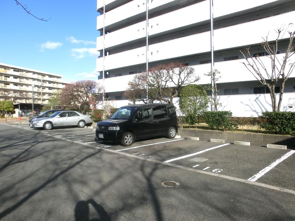 Parking lot. Common areas