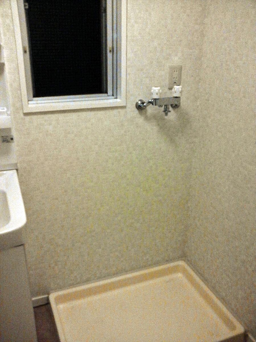 Wash basin, toilet. Indoor (2013 November 16, night) Shooting