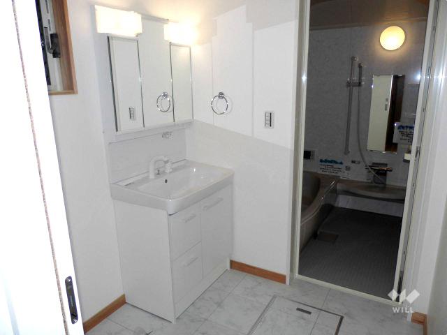 Wash basin, toilet