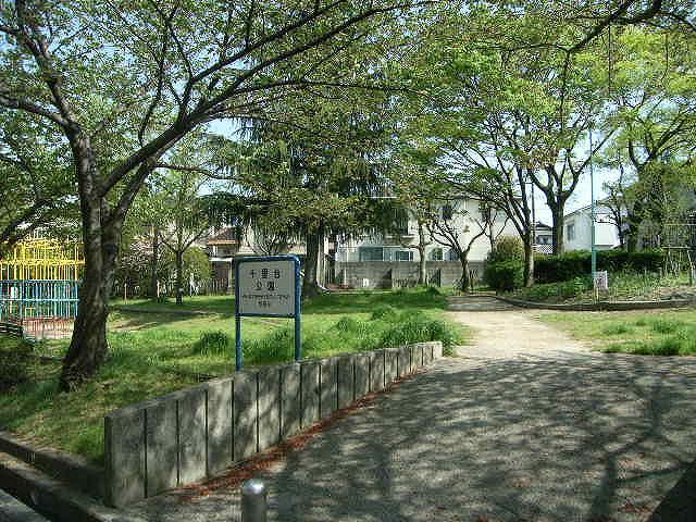 Other. park