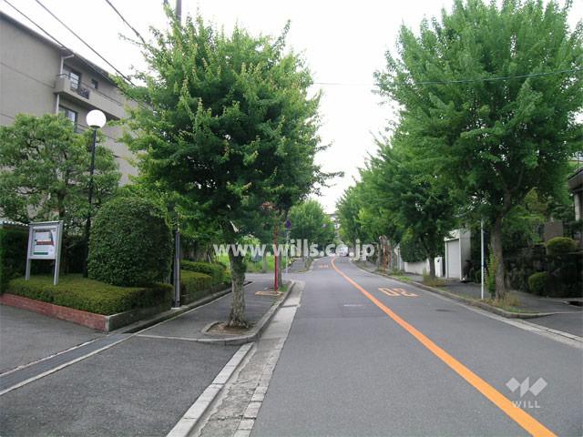 Other local. It is a quiet residential area!