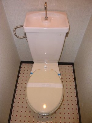 Toilet. Toilet