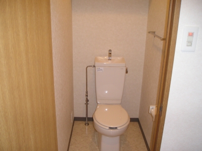 Toilet. Popular bath toilet separate property! 